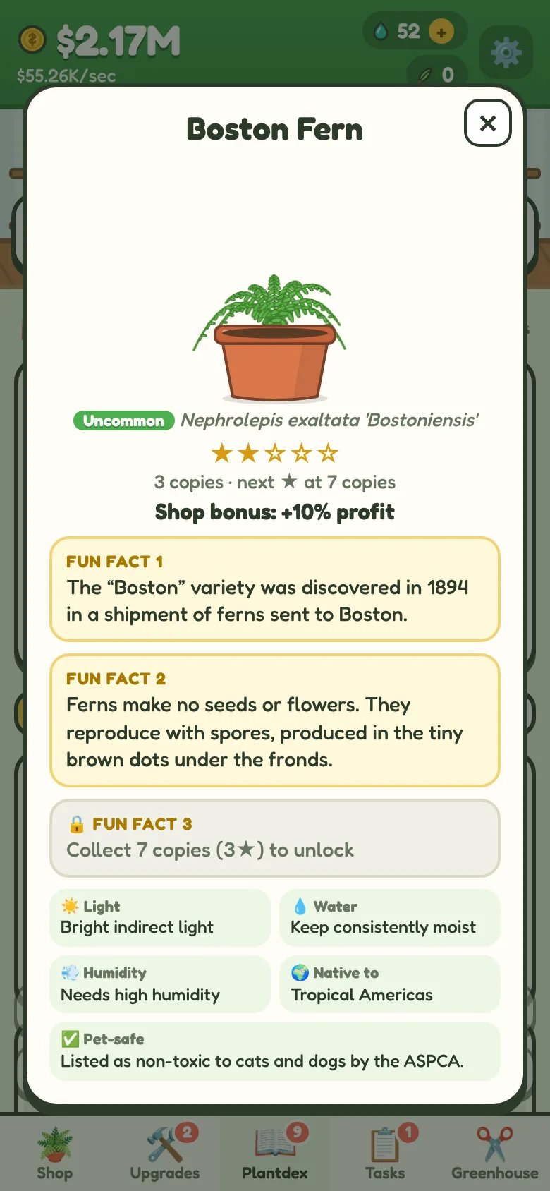 The Plantdex page for the Boston Fern with fun facts, care tips and a pet-safety note