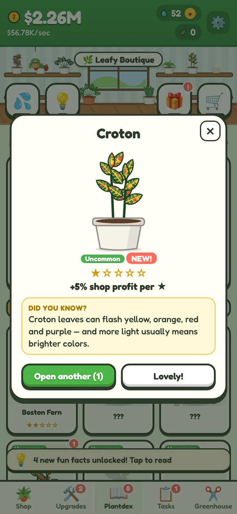 A seed pack opening to reveal a new Croton with a Did you know fact